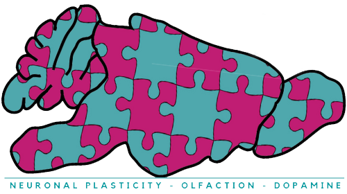 Galliano Lab @Cambridge_Uni